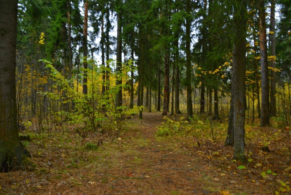 Photograph by Татьяна Павлова