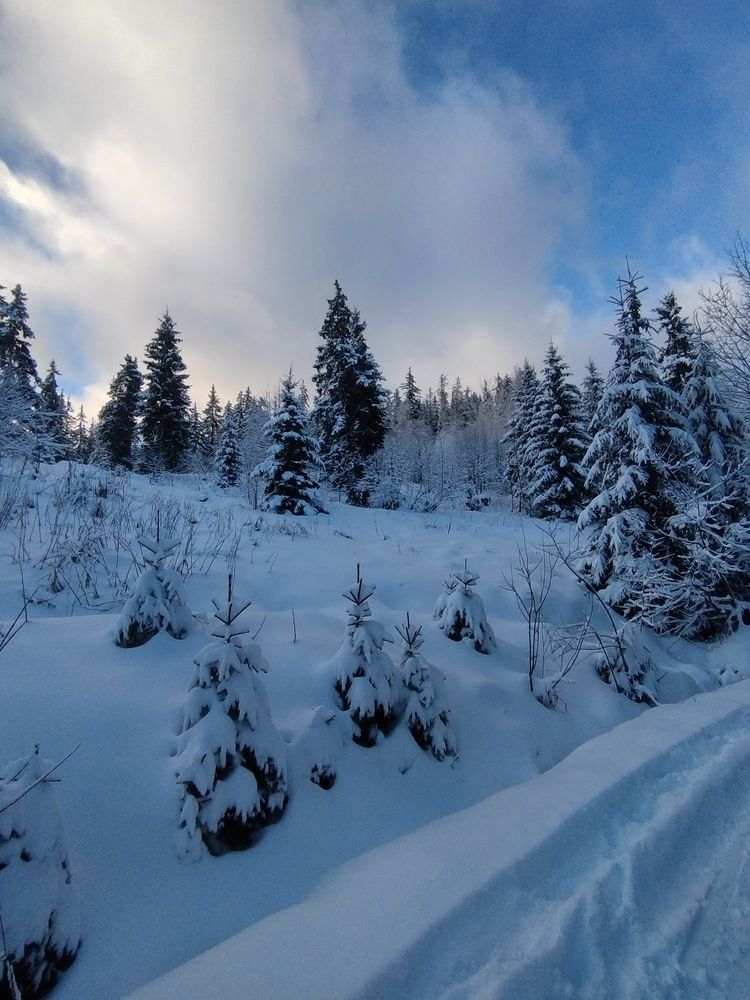 Фотография автора Clarise Joy Evangelista