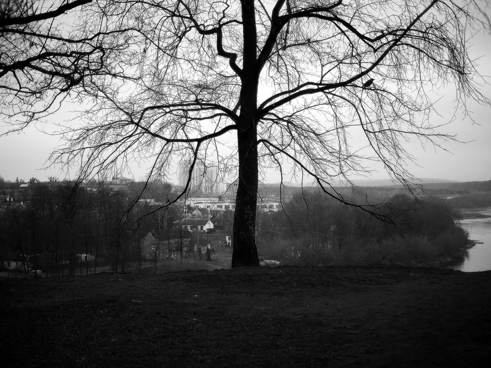 Photograph by Алексей Серпов