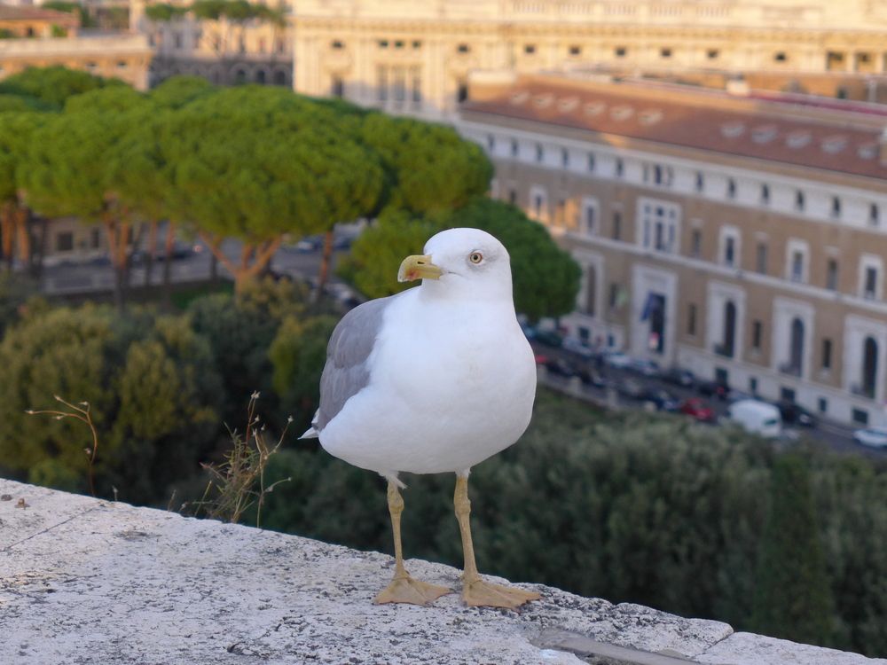 Photograph by Одаренко Ольга