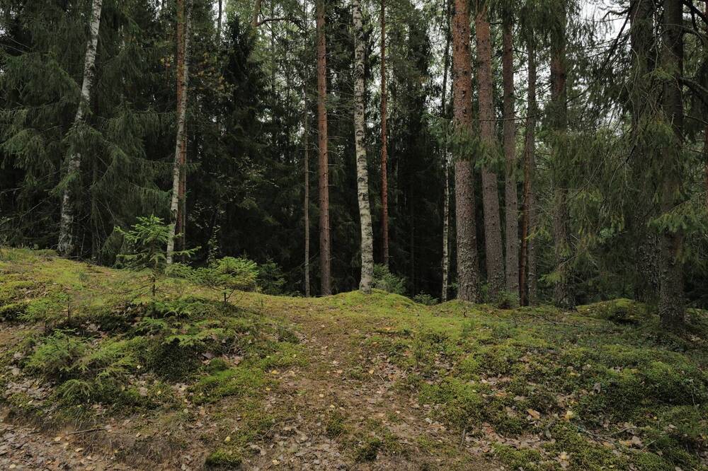 Photograph by Ренат Абушаев