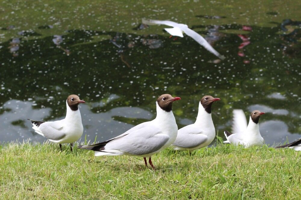 Photograph by Наталья Резванова