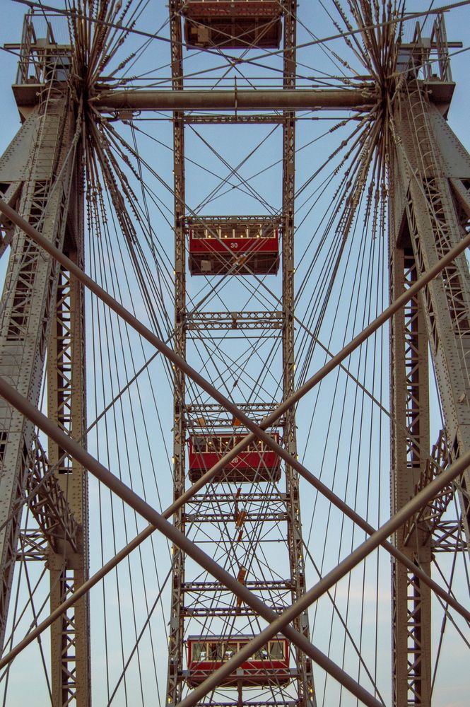 Фотография автора Вера Базилевская