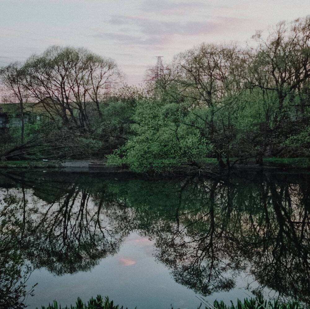 Фотография автора Светлана Алексеева