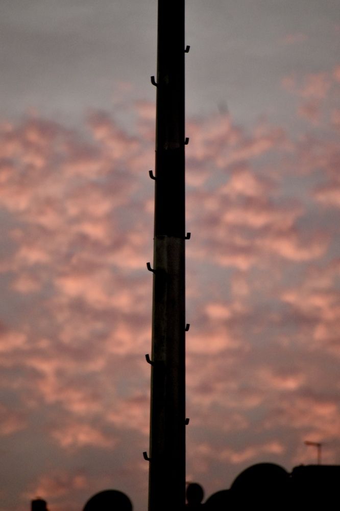 Фотография автора amina hassan