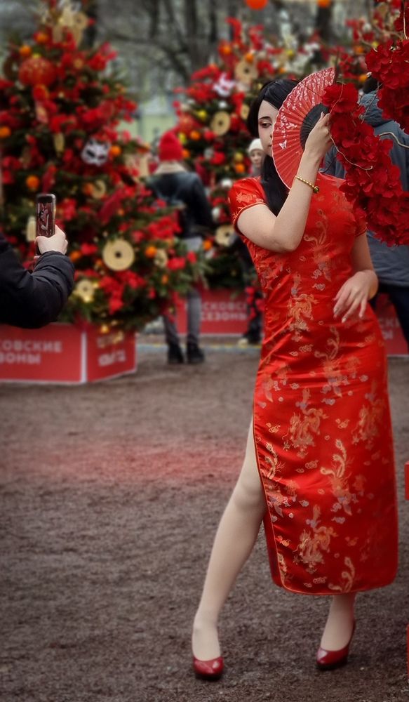 Фотография автора Светлана Алексеева