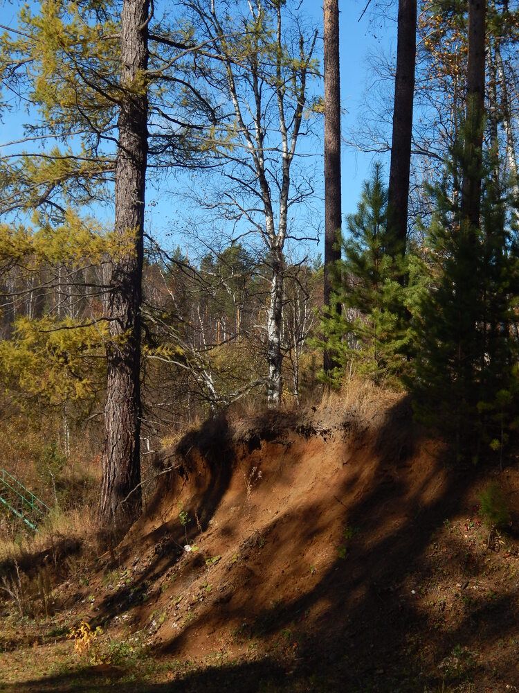 Фотография автора Ирина Моршинина