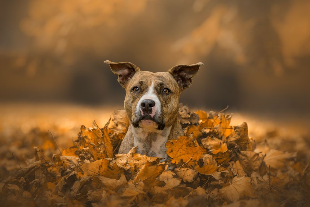 Photograph by Lucie Nermuťová