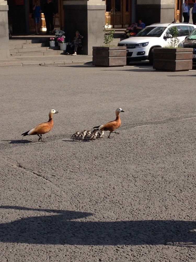 Photograph by Елена Осипова