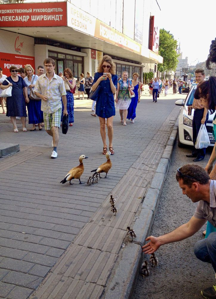 Photograph by Елена Осипова