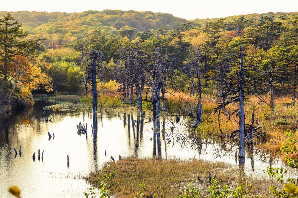 Photograph by Екатерина Якель