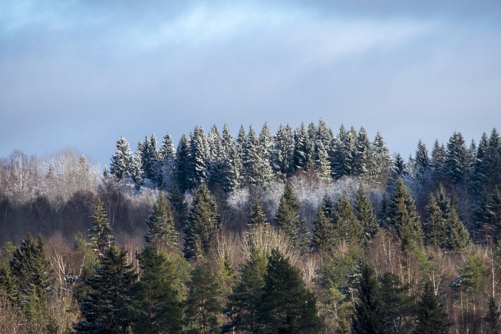 Photograph by Екатерина Якель