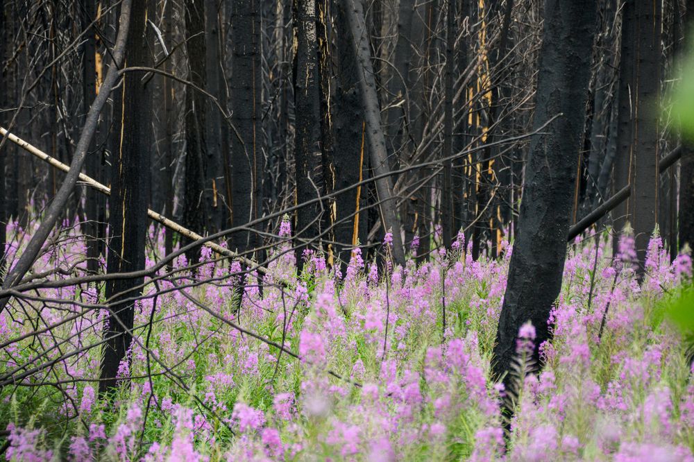 Photograph by Екатерина Якель