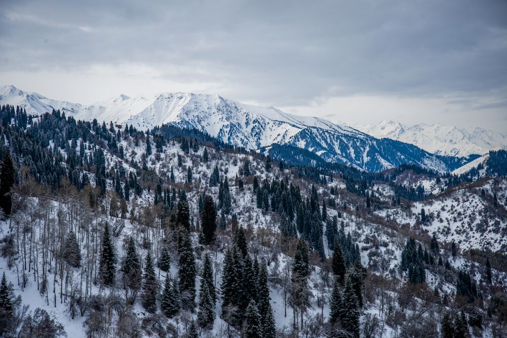 Photograph by Екатерина Якель