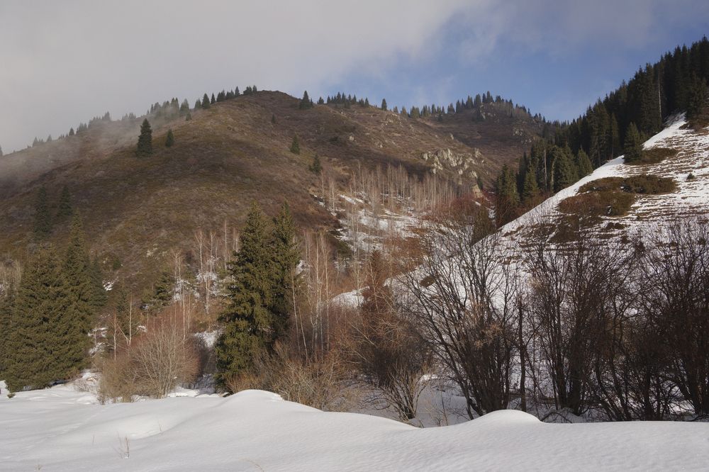 Зима в Бутаковке