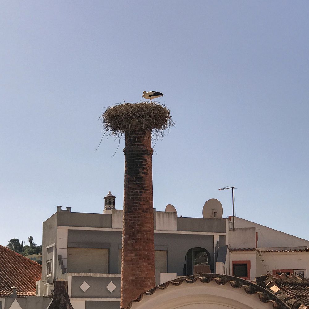 Photograph by Елена Осипова