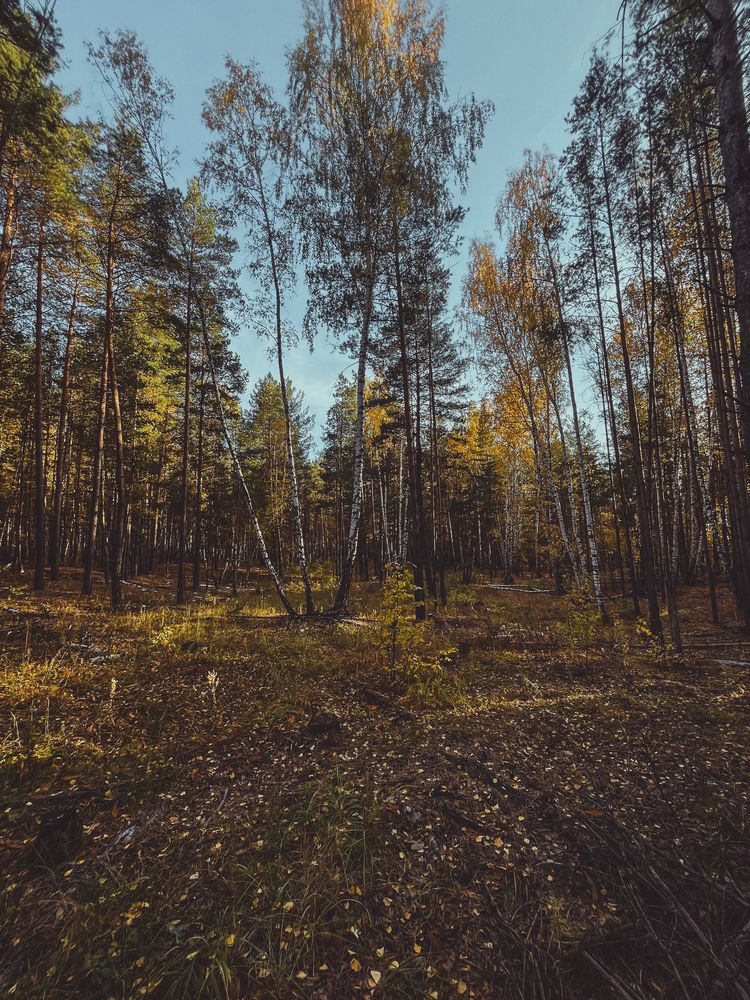 Photograph by Анна