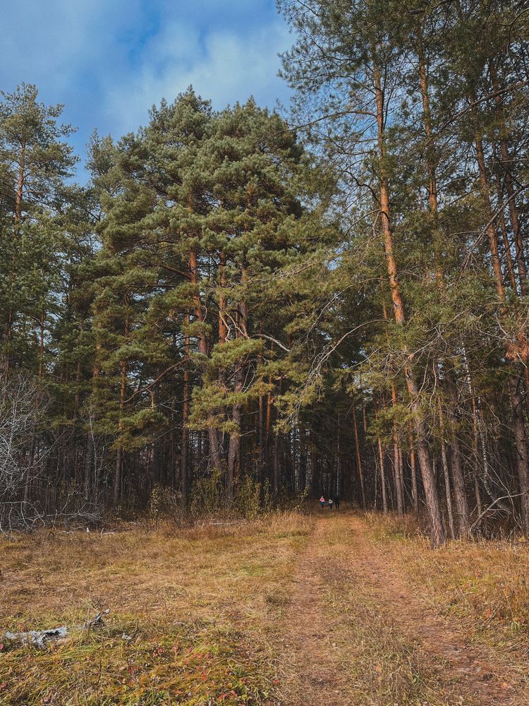 Photograph by Анна