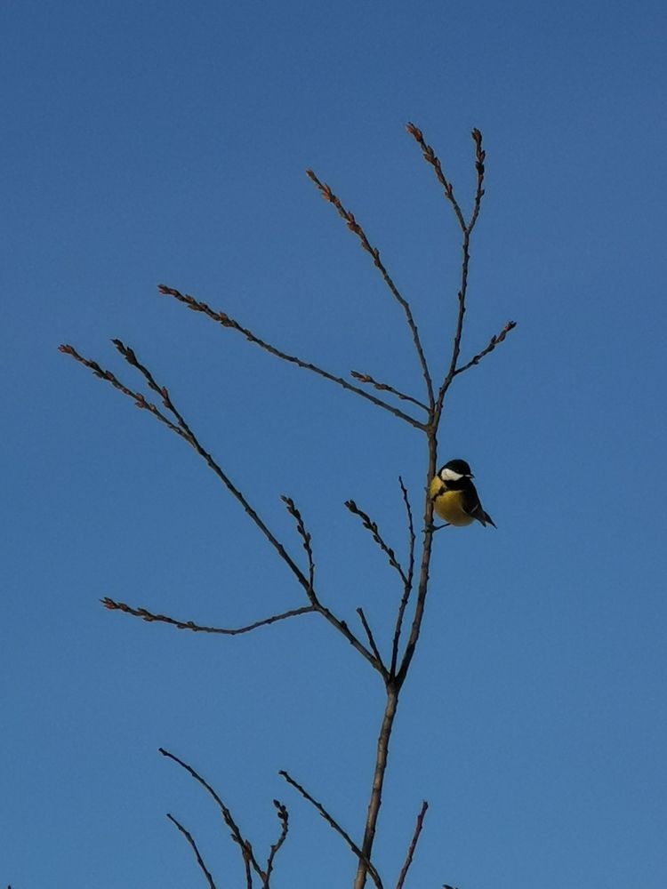 Photograph by Oxana Kostsova