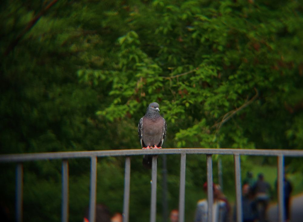 Photograph by Артур Арутюнов