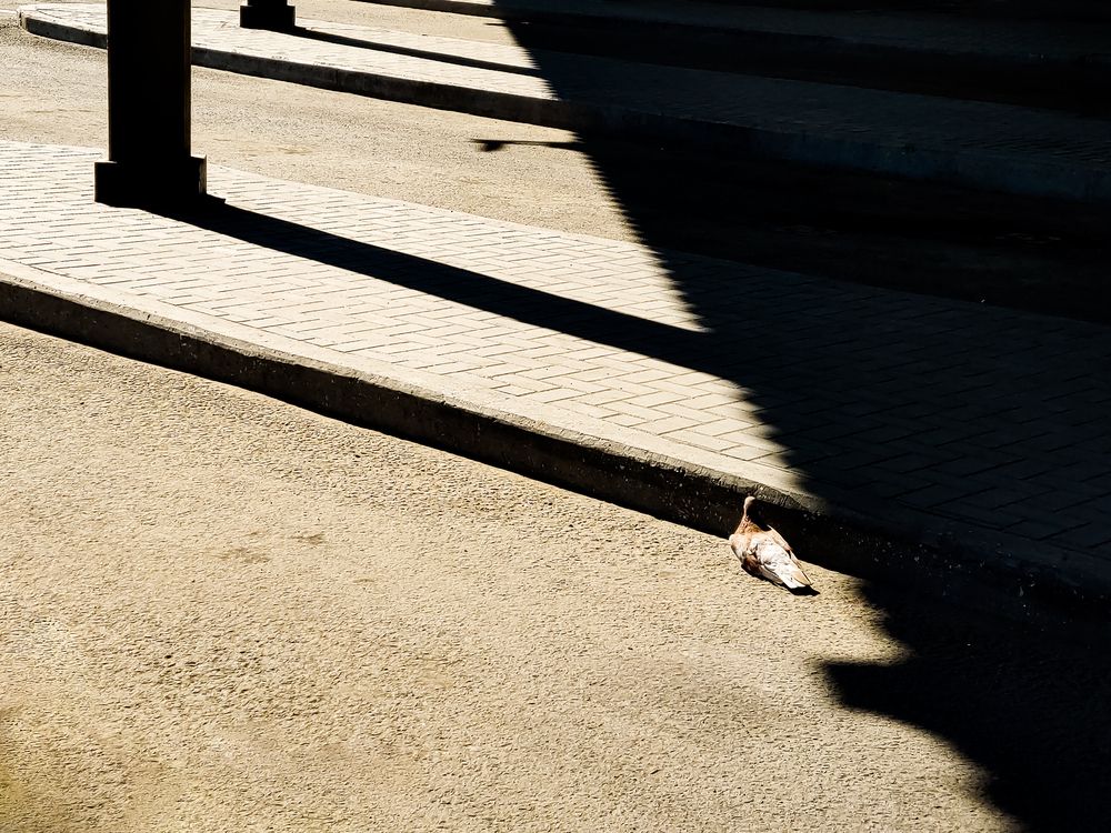 Photograph by Артур Арутюнов