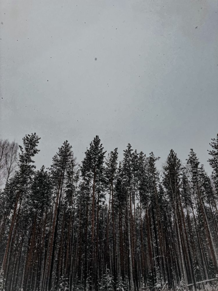 Photograph by Olivka Ulyanova