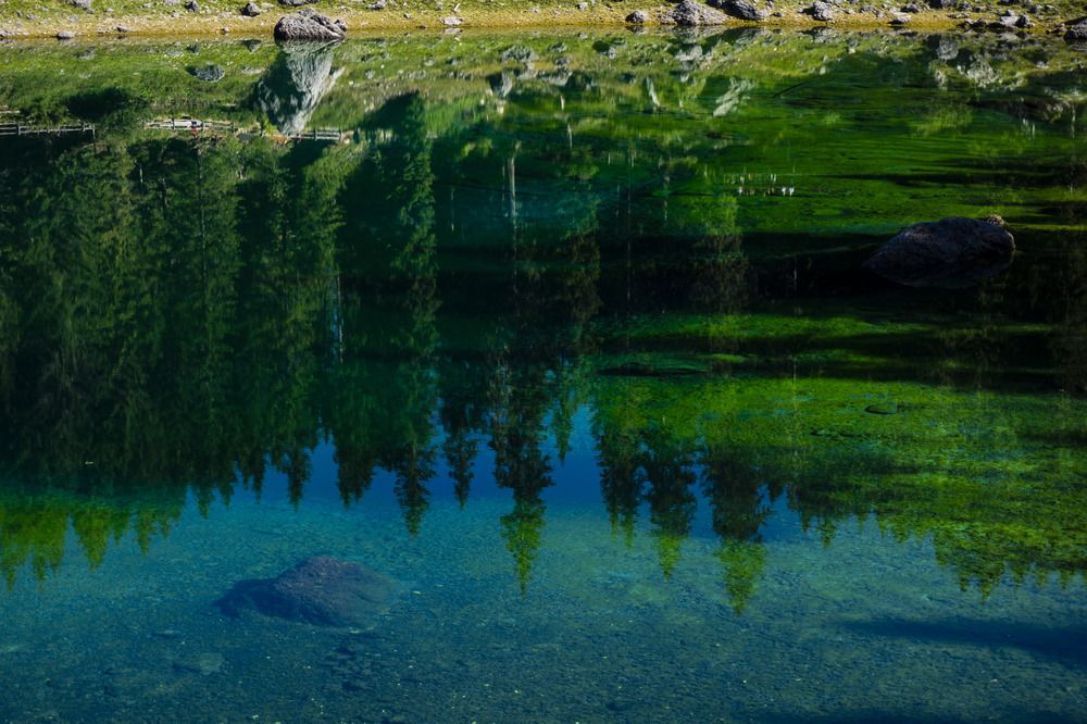 Photograph by Sergei Komlev