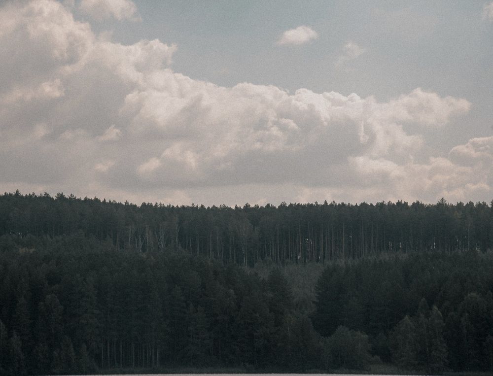 Photograph by Olivka Ulyanova