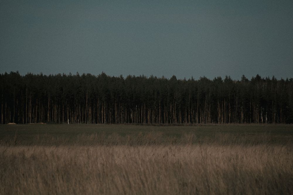 Photograph by Olivka Ulyanova