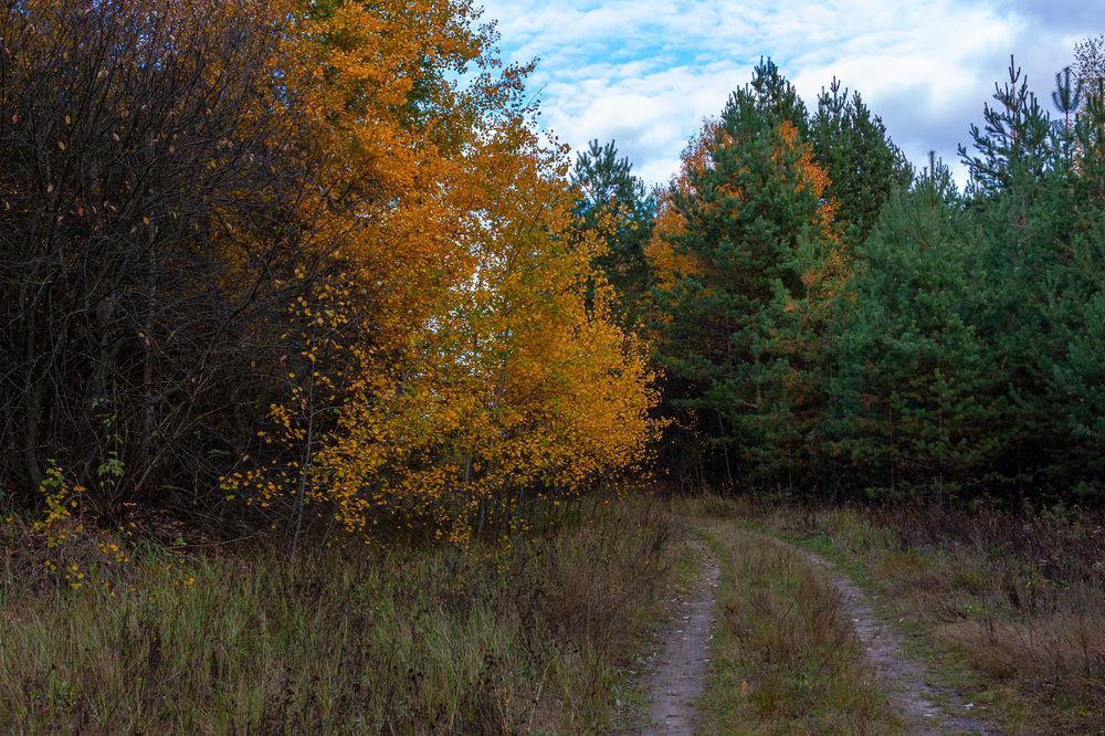 Photograph by Сергей Щербаков