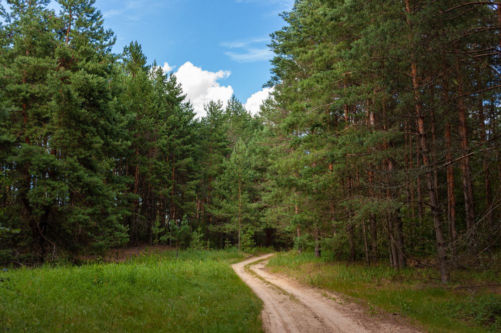 Photograph by Сергей Щербаков