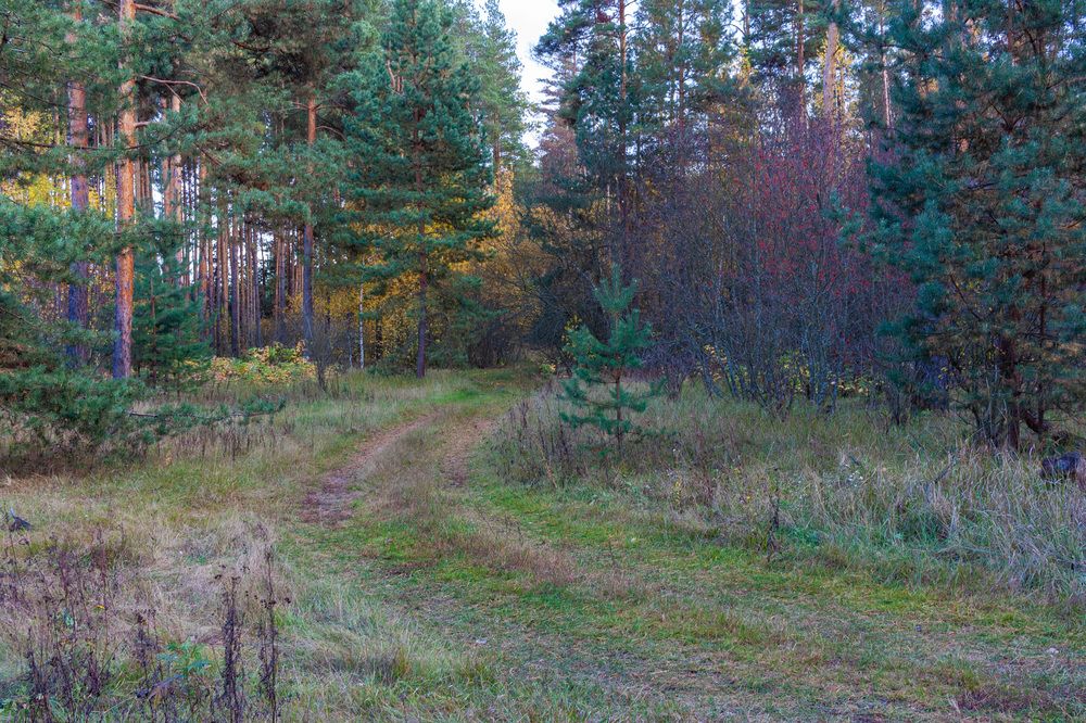 Photograph by Сергей Щербаков