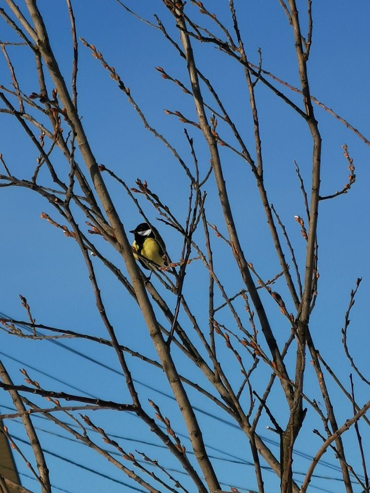 Photograph by Oxana Kostsova