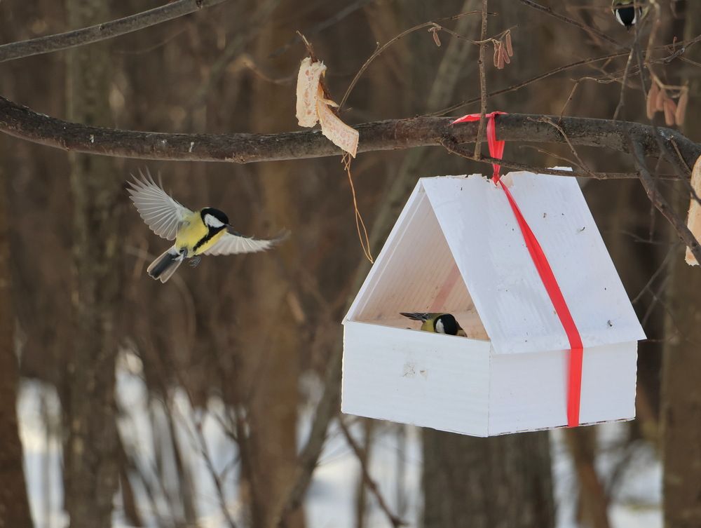 Photograph by Серёга Ануфриев