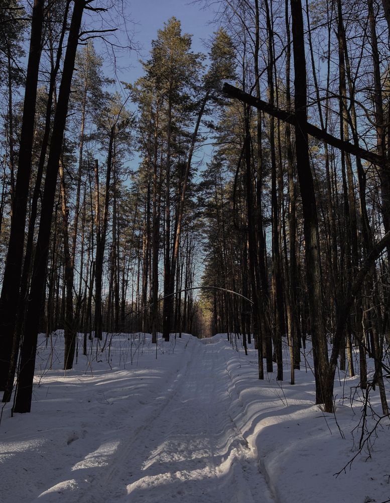 Photograph by Анна