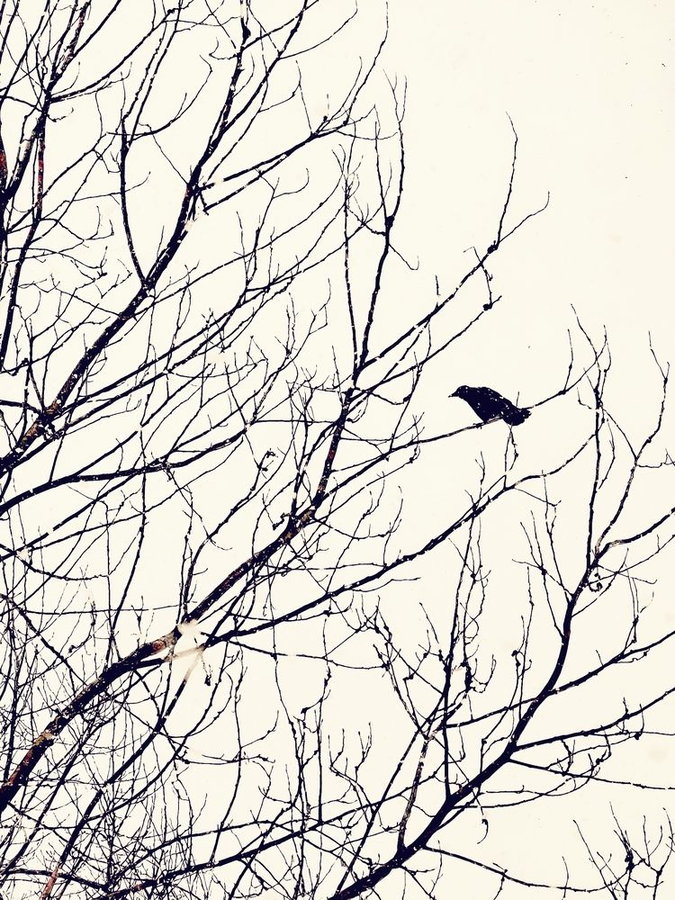 Photograph by Oxana Kostsova