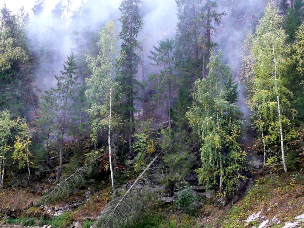 Photo #11796280