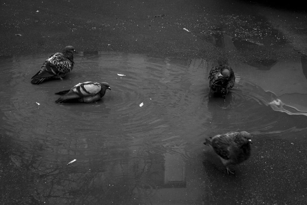 Photograph by Милена Полтавец