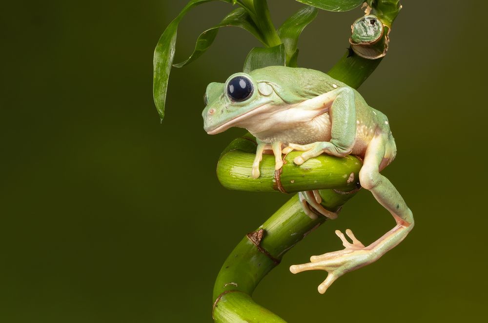 Фотография автора MARIA KULA