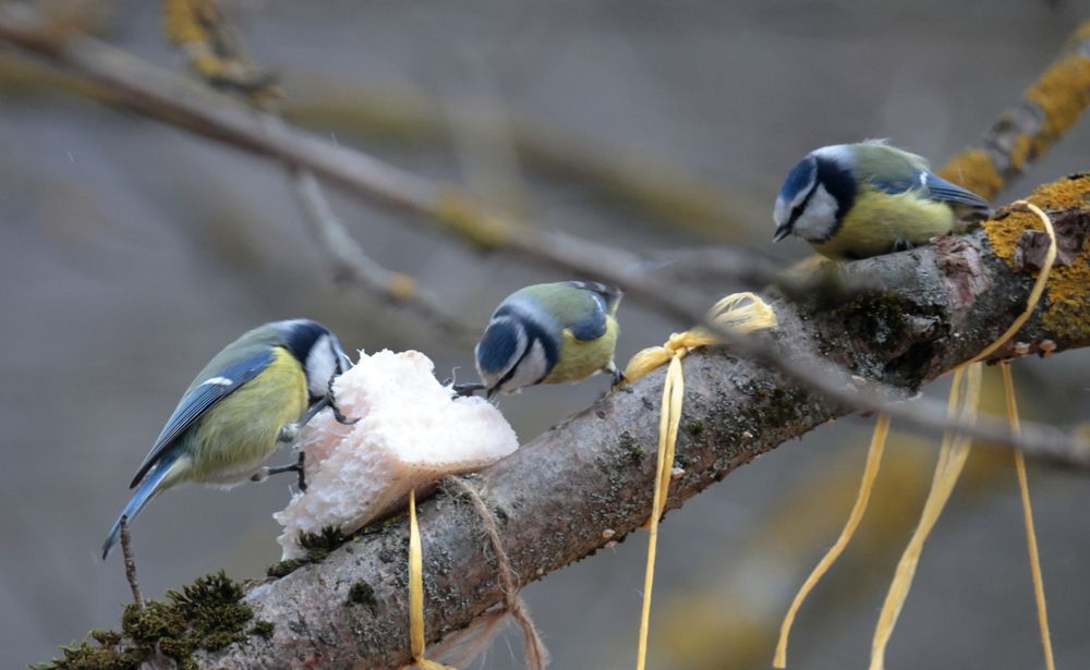Photograph by Sergey Kudryashov