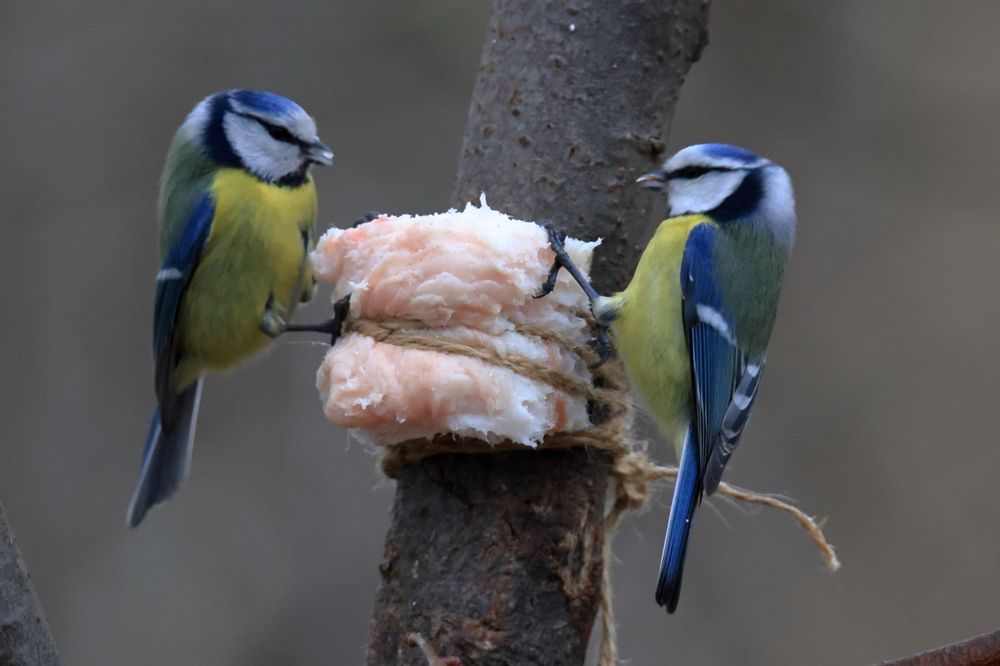 Photograph by Sergey Kudryashov