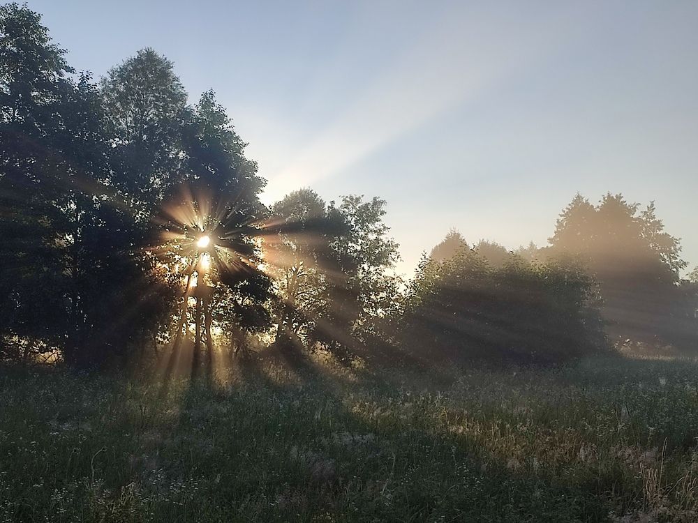 Photograph by Татьяна Калугина