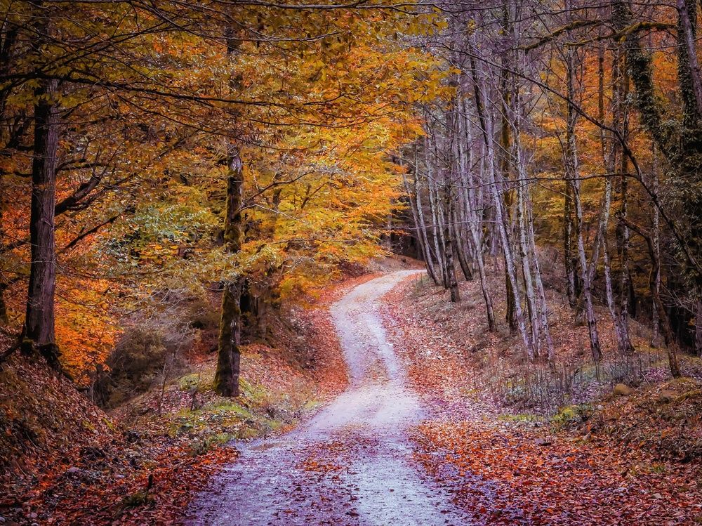 Фотография автора Zahra Seyedmorti