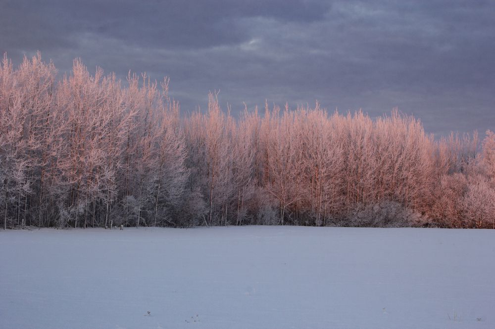 Photograph by Артур Павловский