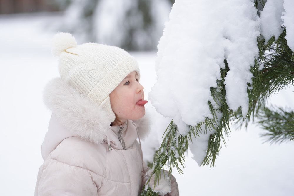Photograph by Анастасия Симакова