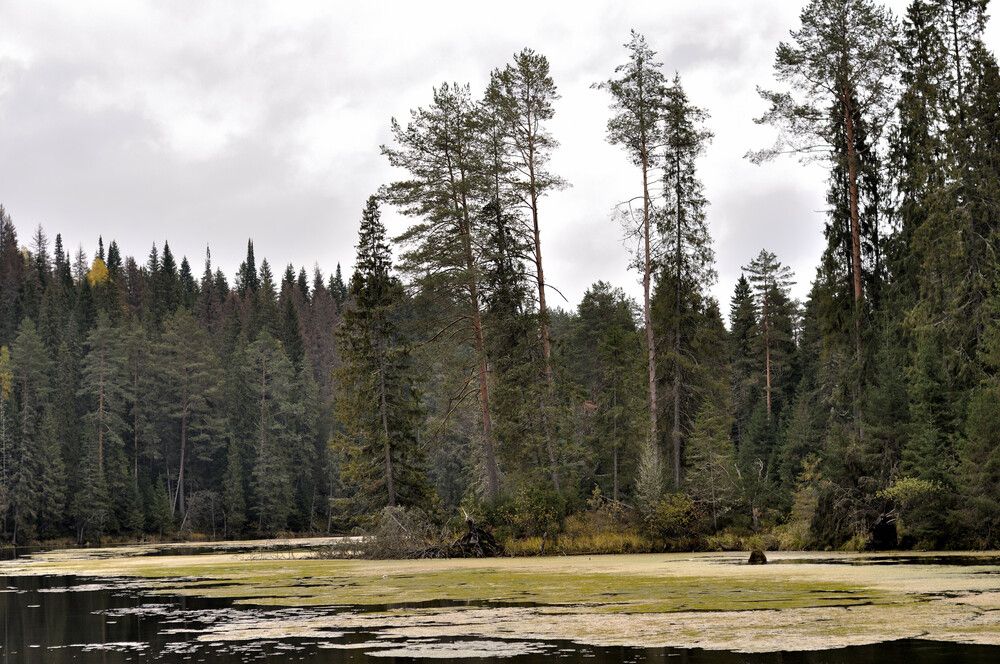 Photograph by Андрей Пляскин