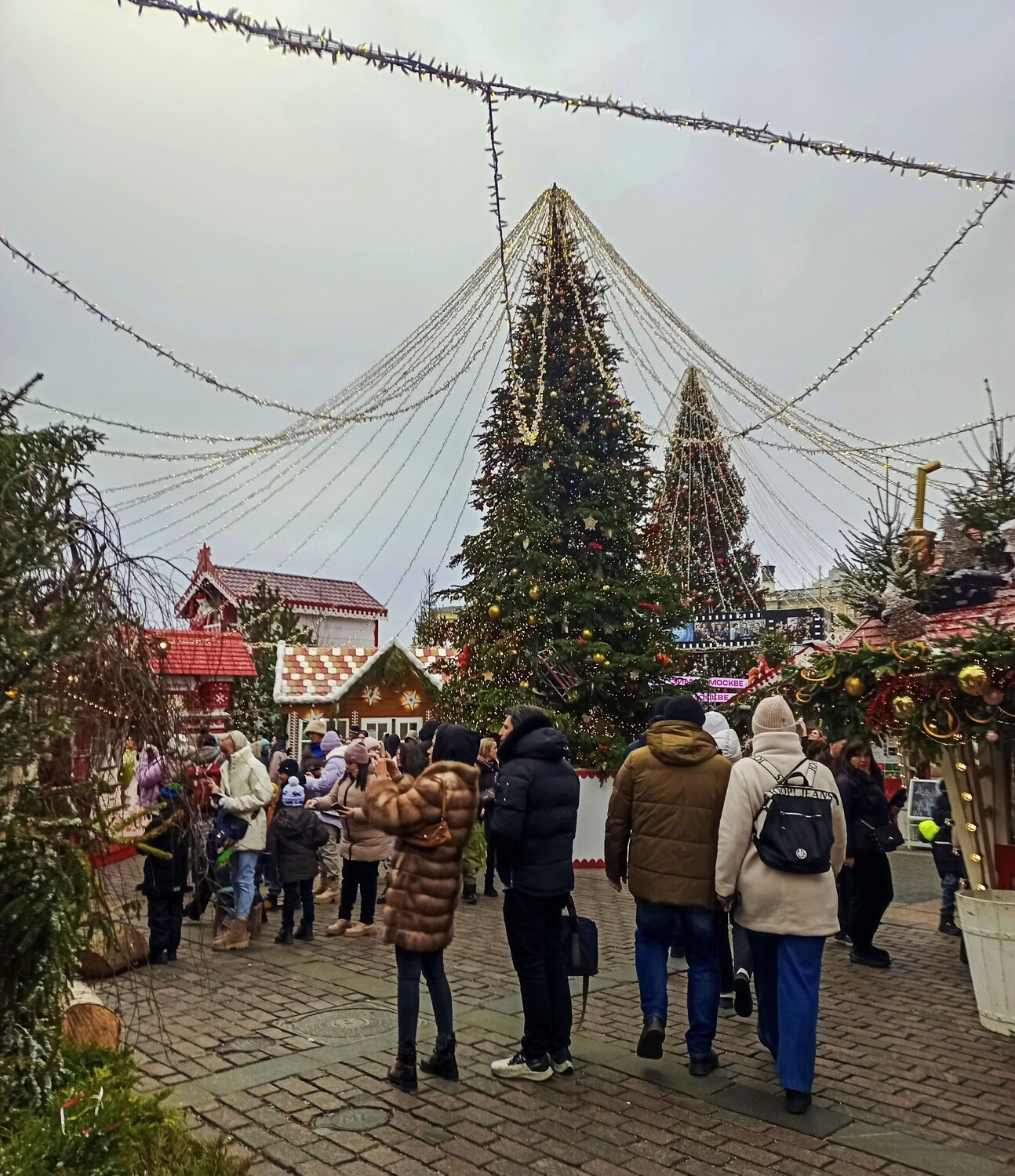 Фотография #11796374