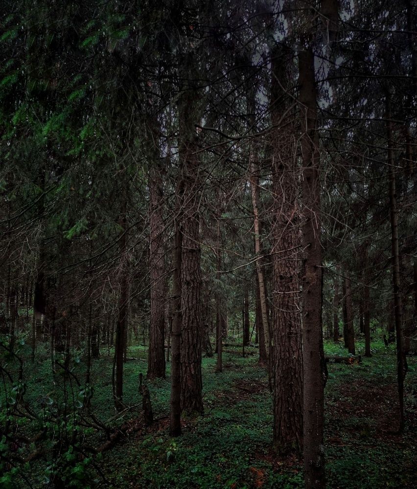 Photograph by Елена Семенова
