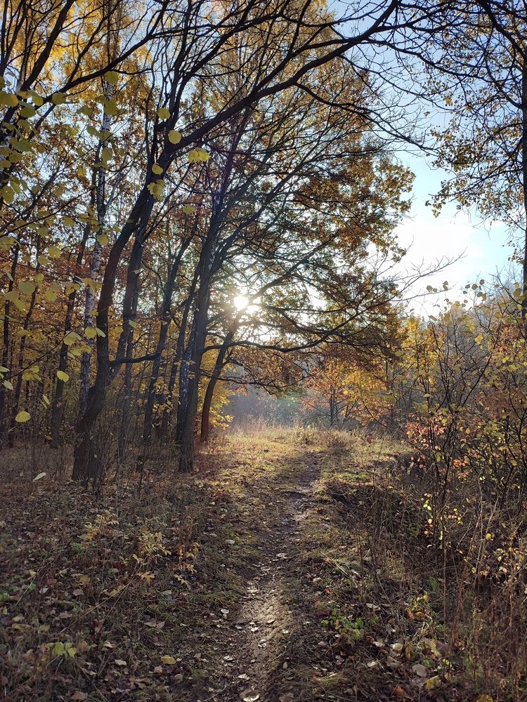 Photograph by Татьяна Калугина