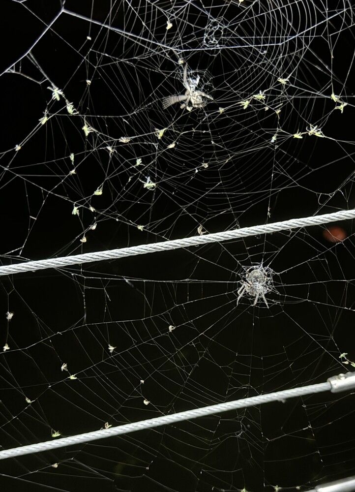 Photograph by Елена Осипова